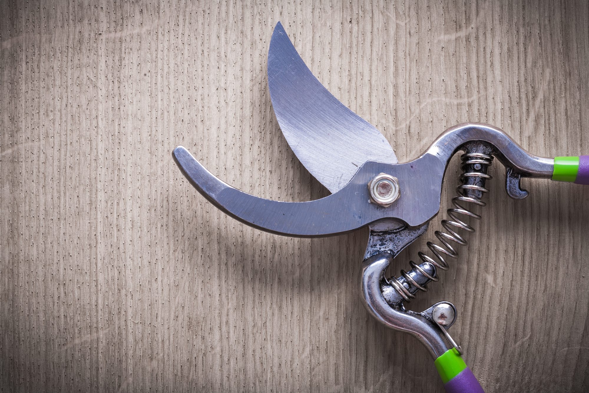 Cesoie - violazione dati